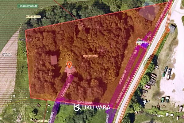 Toominga kinnistu asendiplaan Tänassilmas, lagunenud hoonega elamumaa